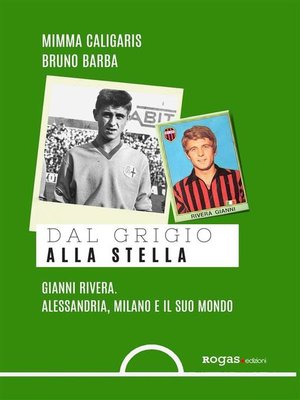 cover image of Dal grigio alla stella